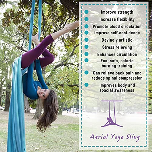 10M Premium Aerial Silks Equipment Yoga Pilates Swing Aerial Yoga Antigravity Hammock Trapeze for Acrobatic Dance,Air Yoga, Aerial Yoga Hammock