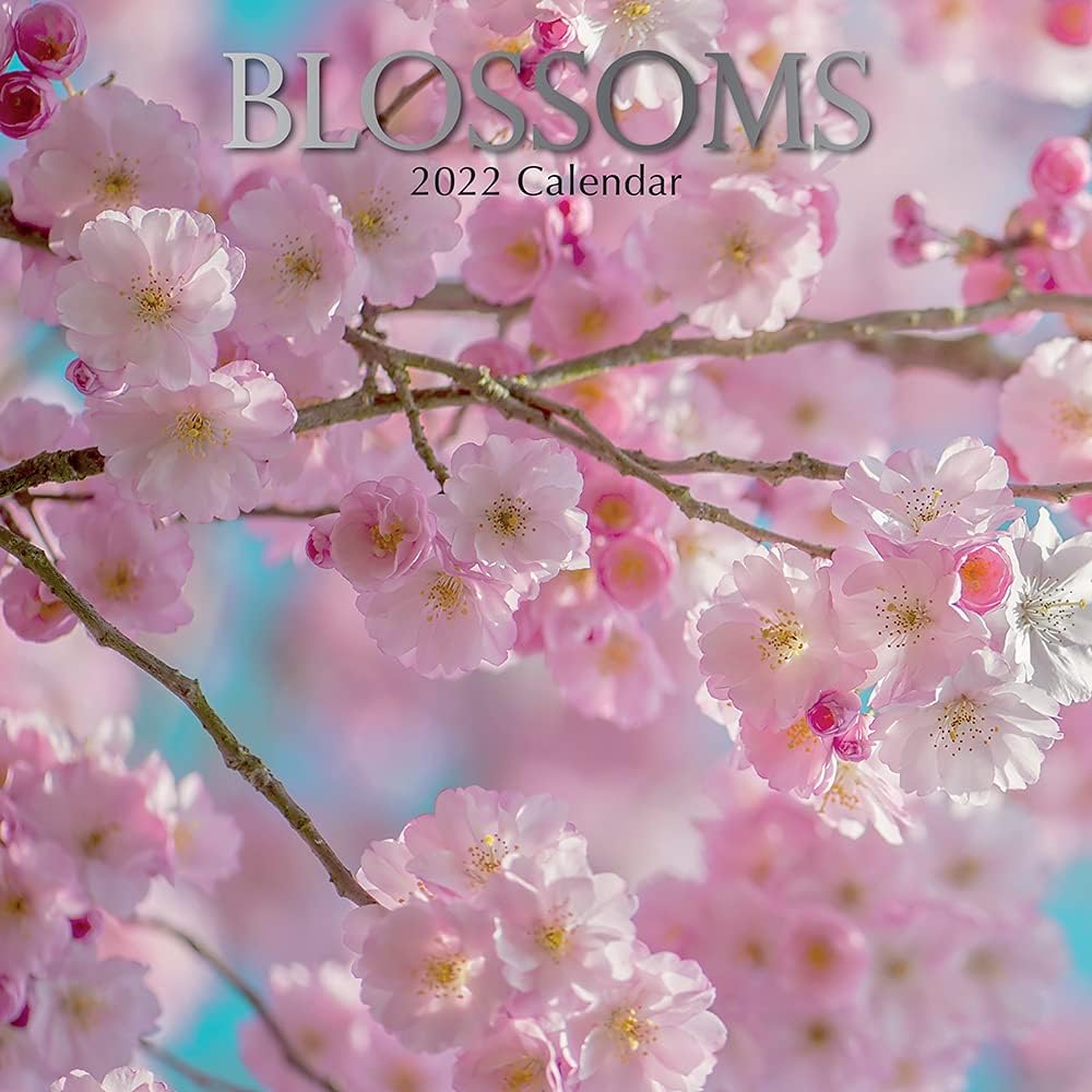 Blossom 2022 Schedule The Gifted Stationery 2022 Monthly Wall Calendar - Blossoms. 12 X 12 Inch,  Premium Quality 16 Months Calendar Planner For Family Home And Office,  Large Grid For Birthdays And Notes : Amazon.co.uk: