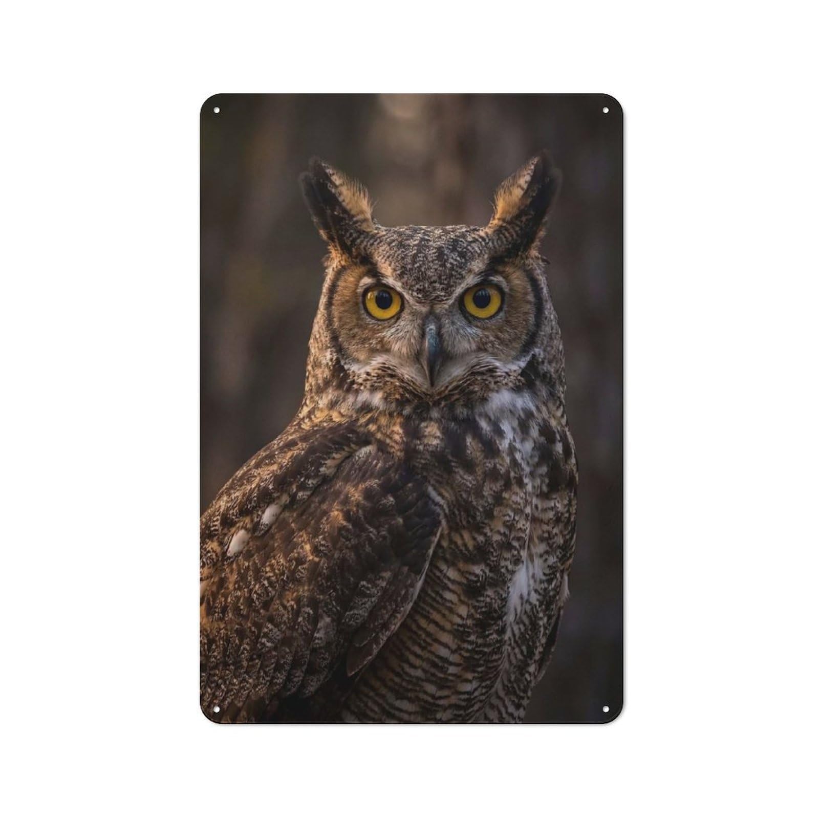 Great Horned Owl Portrait Old Style Metal Wall Decor 30x20cm, Decorative Tin Plaque for Cafe, Pub, Workshop Or Home Bar