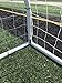 Pass PASS Premier 21 X 7 FT Youth Modified FIFAEPL Steel Soccer Goal 2inch Diameter Steel Frame w Durable 4mm Net Ground Stakes Elastic Clasps and Re Usable Ties 21x7 Foot 1Net White 1 NET