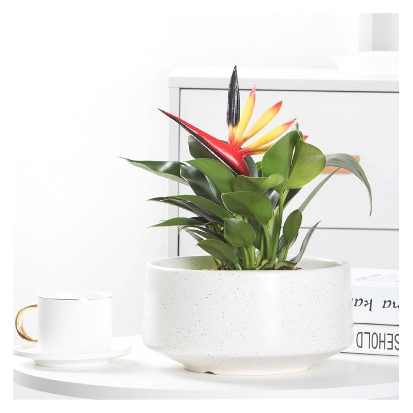 Doniczka gliniana do roślin ceramiczna doniczka nowoczesny sukulent dekoracyjny kwiat z otworem drenażowym 30 cm okrągły do wewnątrz na zewnątrz rośliny ziołowe (biały, 14 cm)