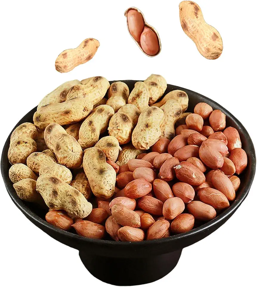 Peanuts 400g/14.1,In Shell,Roasted, salty,Fancy Roasted In-Shell Salted Peanuts,Healthy Snack.
