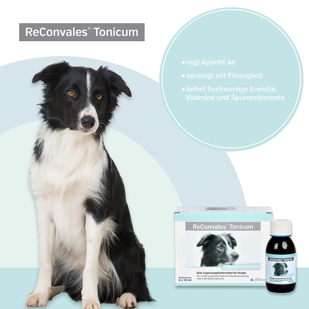 Alfavet ReConvales Tonicum Cani (6 x 90 ml) – Mangime complementare liquido ad alta energia per cani – con proteine, elettroliti e vitamine, elevata appetibilità
