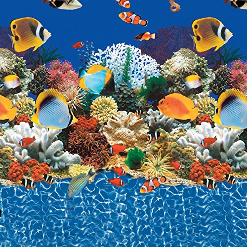 Harris Caribbean pool liner