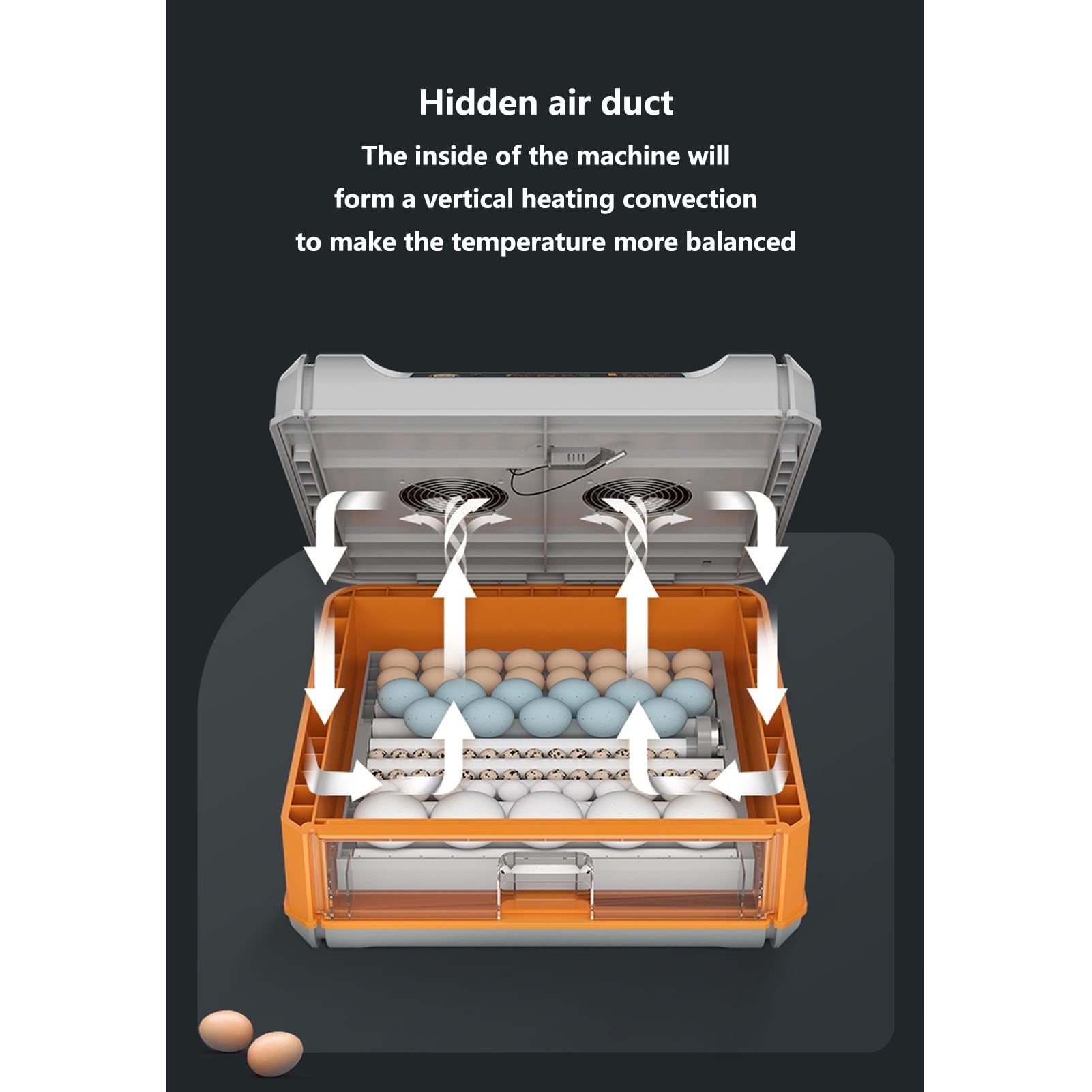 Incubadora digital de huevos para 384 huevos de giro automático, 5 modos de incubación simulan el entorno de incubación original, azul
