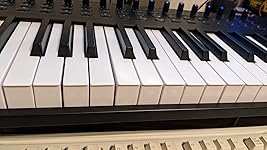 Review Image by Mr Tom