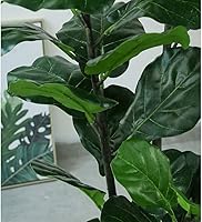 Vista 4 de Árbol artificial nórdico de rama artificial de ficus lyrata, planta artificial de banyan para el hogar, jardín, decoración de bonsái, plantas