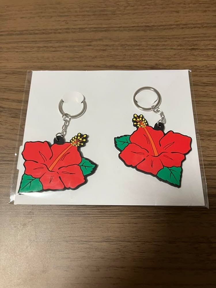 Amazon.co.jp: ハナハナ ラバーキーホルダー hanahana ラバー Amazon.co.jp: ハナハナ ラバーキーホルダー hanahana ラバー