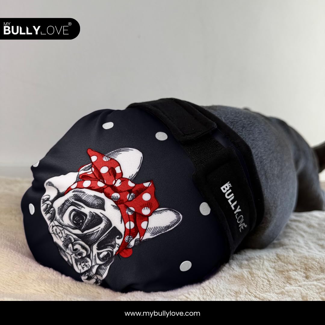 Mutandine igieniche lavabili per bulldog francese femmina in calore
