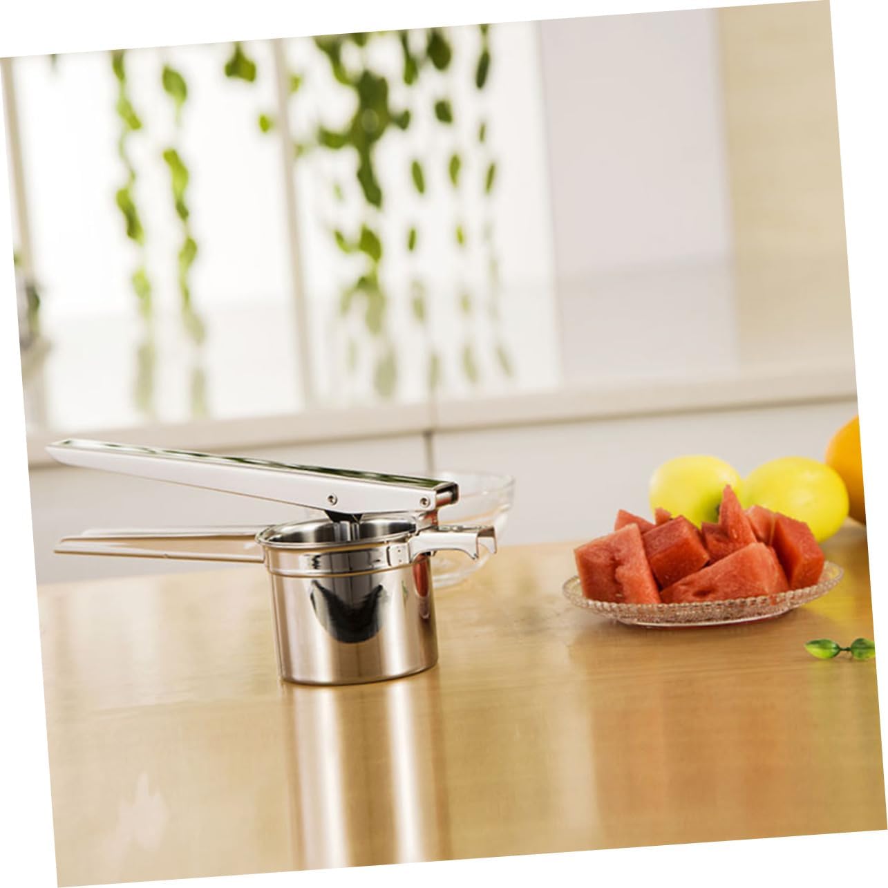 Ciieeo Citrus Squeezer Lemon Press Fruit Juice Squeezer Style Cold Press Juicer Machine