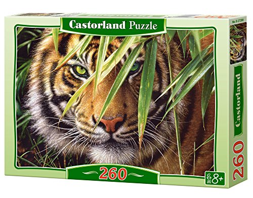 Preisvergleich Produktbild Castorland B-27200 - Emerald Forest, 260-teilig, Klassische Puzzle
