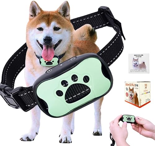 Dogtelligent Connected Collar