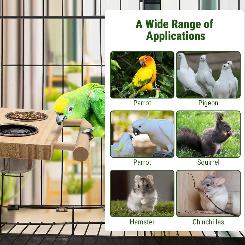 DEWIN Bird Feeding Bowl for Cage,Stainless Steel Parrot Feeding Bowl Parrot Water Feeder with Stand for Pet Birds Parakeet Conure Cockatiels Finches Silver 6.3x7.9in (Double Bowl) - Image 2