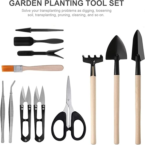 Miniatura 3 de Juego de 13 mini herramientas de plantación de jardín, kit de herramientas de suculentas, herramientas de mano para plantar bonsái de jardín en