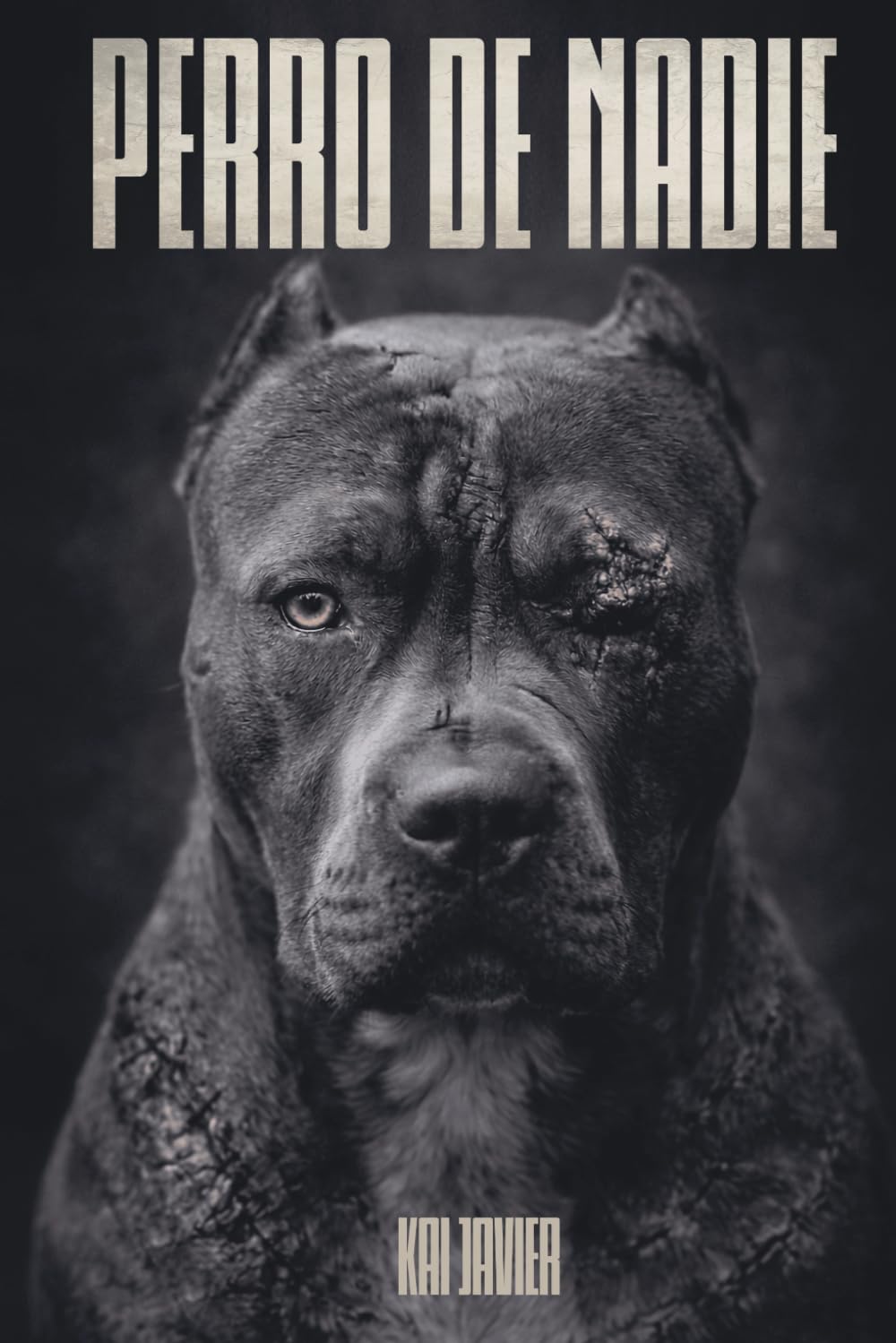 Perro de Nadie