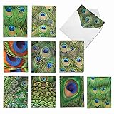 M2003 Fancy Feathers: 10 Assorted Blank All-Occasion Note Cards Feature the Iridescent Blue and Green Plumage of a Peacock, w/White Envelopes.