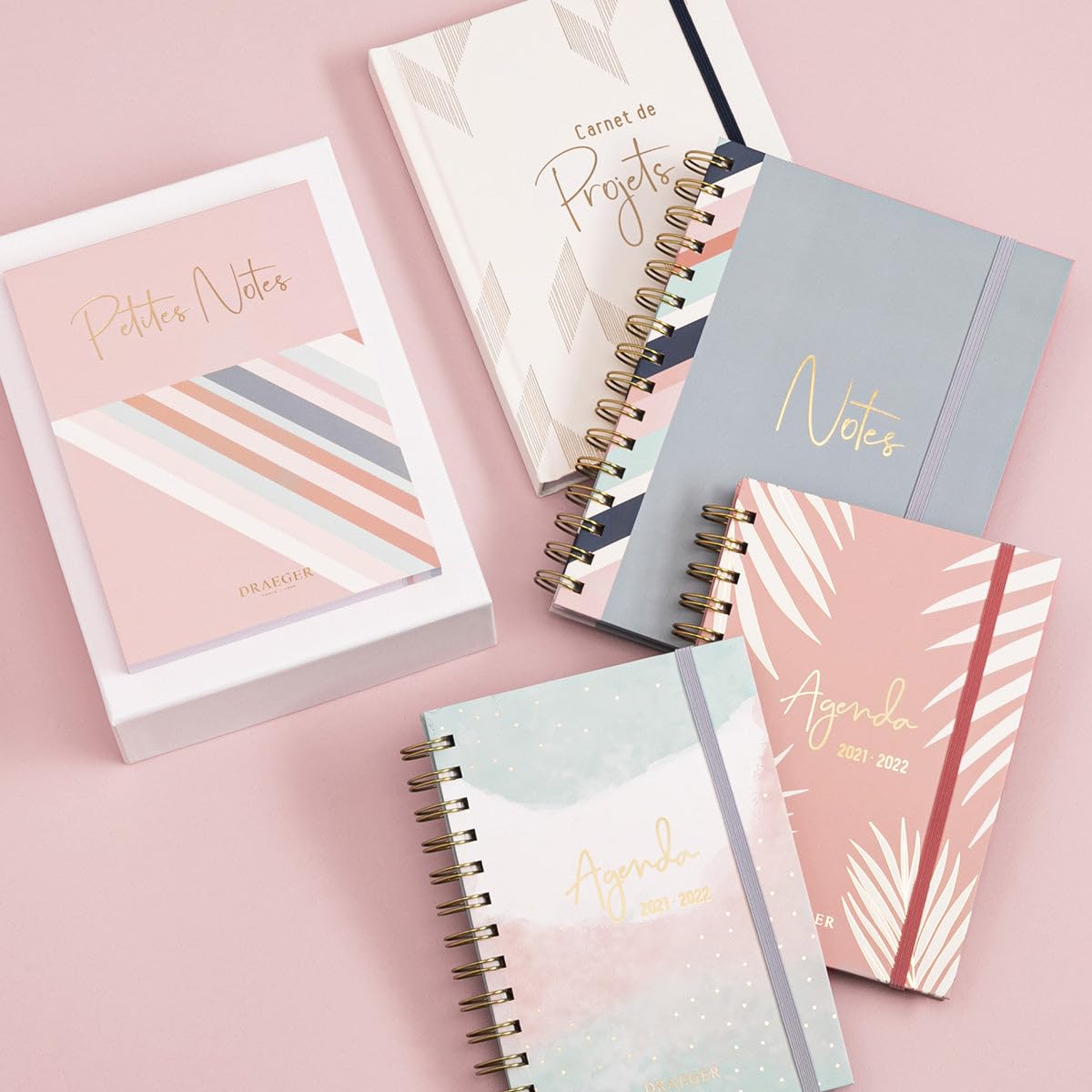 DRAEGER PARIS 1886 - Agenda De Poche 2025 Chiens - 11,5 X 16 Cm