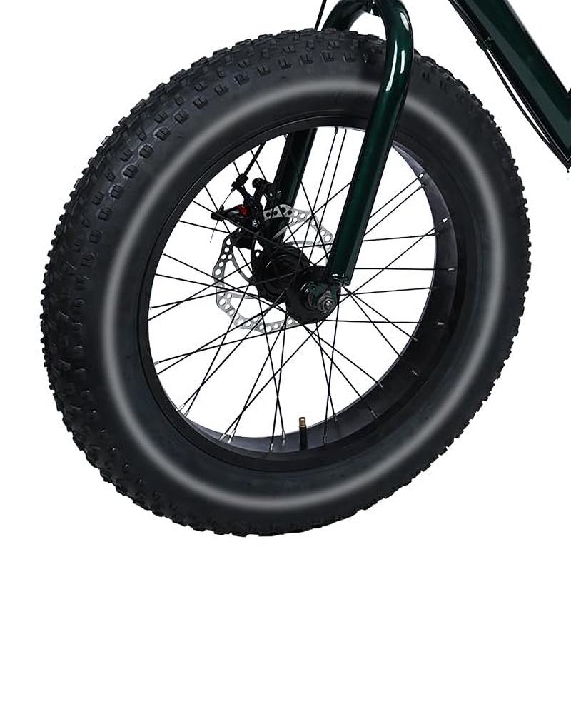 Amazon.com : Masiunoz Fat Tire Tricycle for Adults with 450 lbs