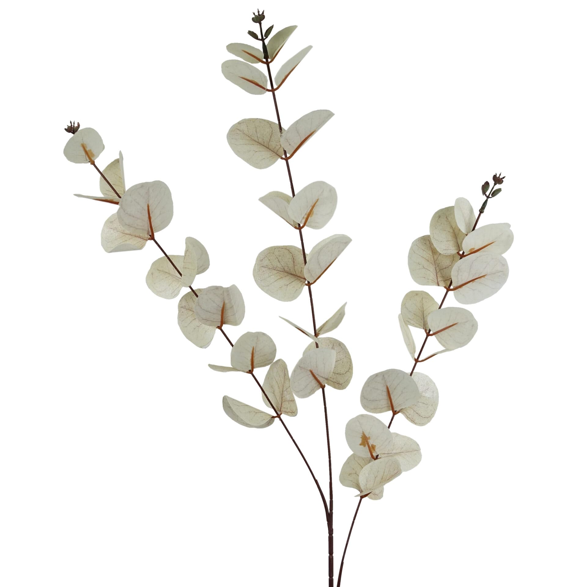 Leaf 80Cm White Eucalyptus Foliage Stem from B&Q