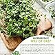 valeaf BIO Microgreens Set I 8 Sorten Sprossen Samen Pflanzset mit Keimsprossen und Microgreens Samen I inkl. Kressesamen, Alfalfa Samen I Samen Anzuchtset Microgreens Kit für Sprossen Keimgerät