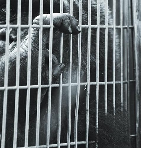 The Monkey's Paw by W.W. Jacobs - Part 1