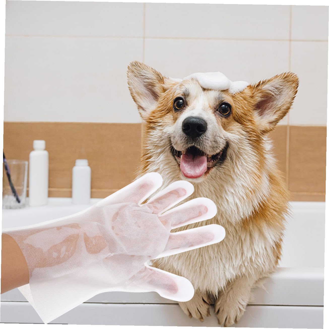 FRCOLOR 3 Set di Guanti Multiuso per La Pulizia degli Animali Domestici 6 Pezzi * 3