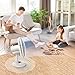 BEYOND BREEZE Oscillating Table Fan Quiet 3-Speed 12-Inch Adjustable Tilt Fan with Safety Grill, Ideal for Home, Office, Dorm