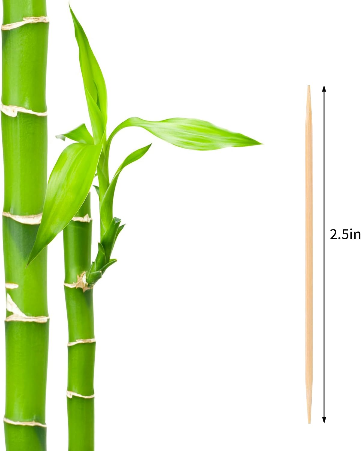2PS Toothpick Holder with 1000 Count Bamboo Toothpicks for Teeth Cleaning Fruits- Round Double-Pointed Wooden Toothpicks, for Appetizers,Olives