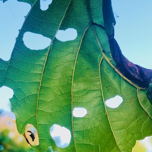 Von ausgeliefert bis geborgen
