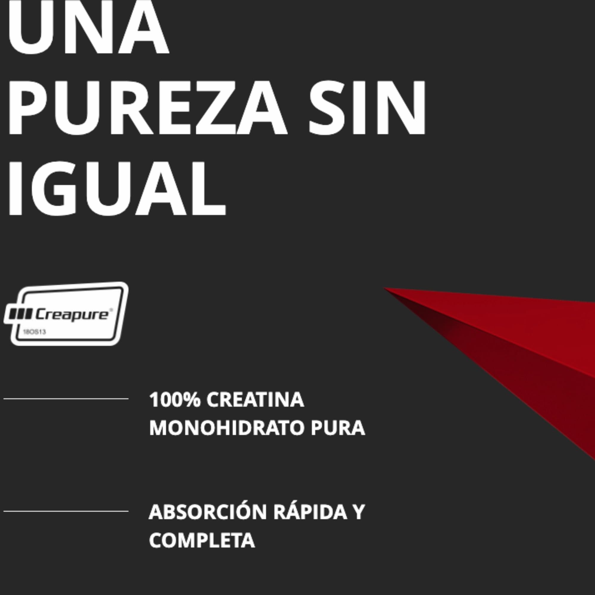 Creatina Creapure (300G) - Prozis - Sabor Neutro