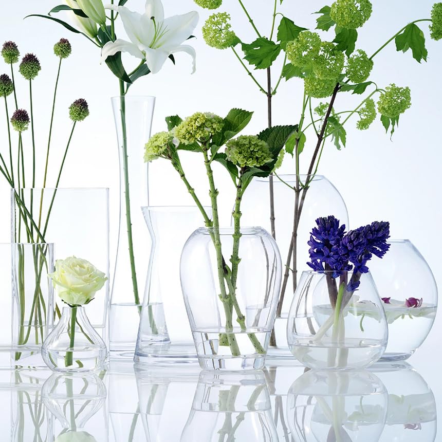 Amazon.co.jp: LSA(エルエスエー) フラワーベース(花器) クリア 高さ