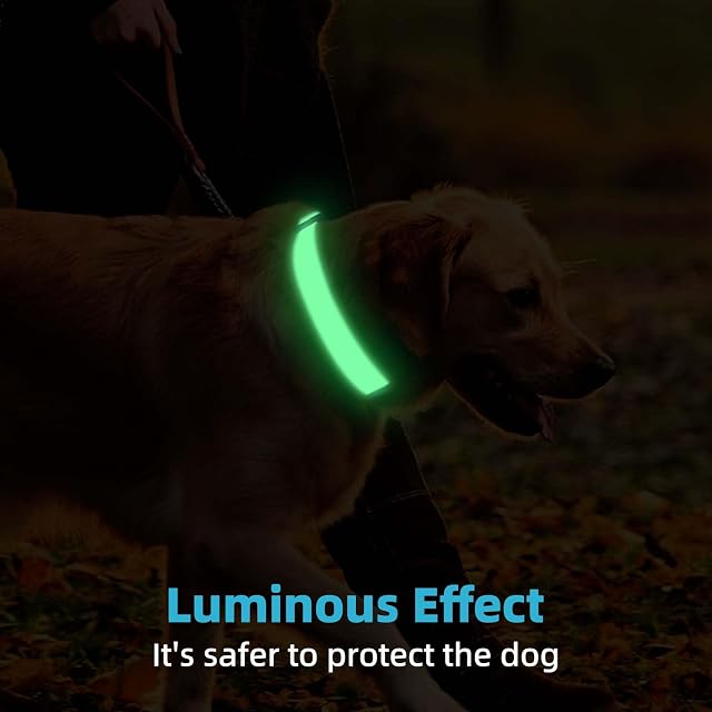 Foto 4 de 8 de Collar luminoso personalizado para perro con placa de nombre, collar de nailon que brilla en la oscuridad