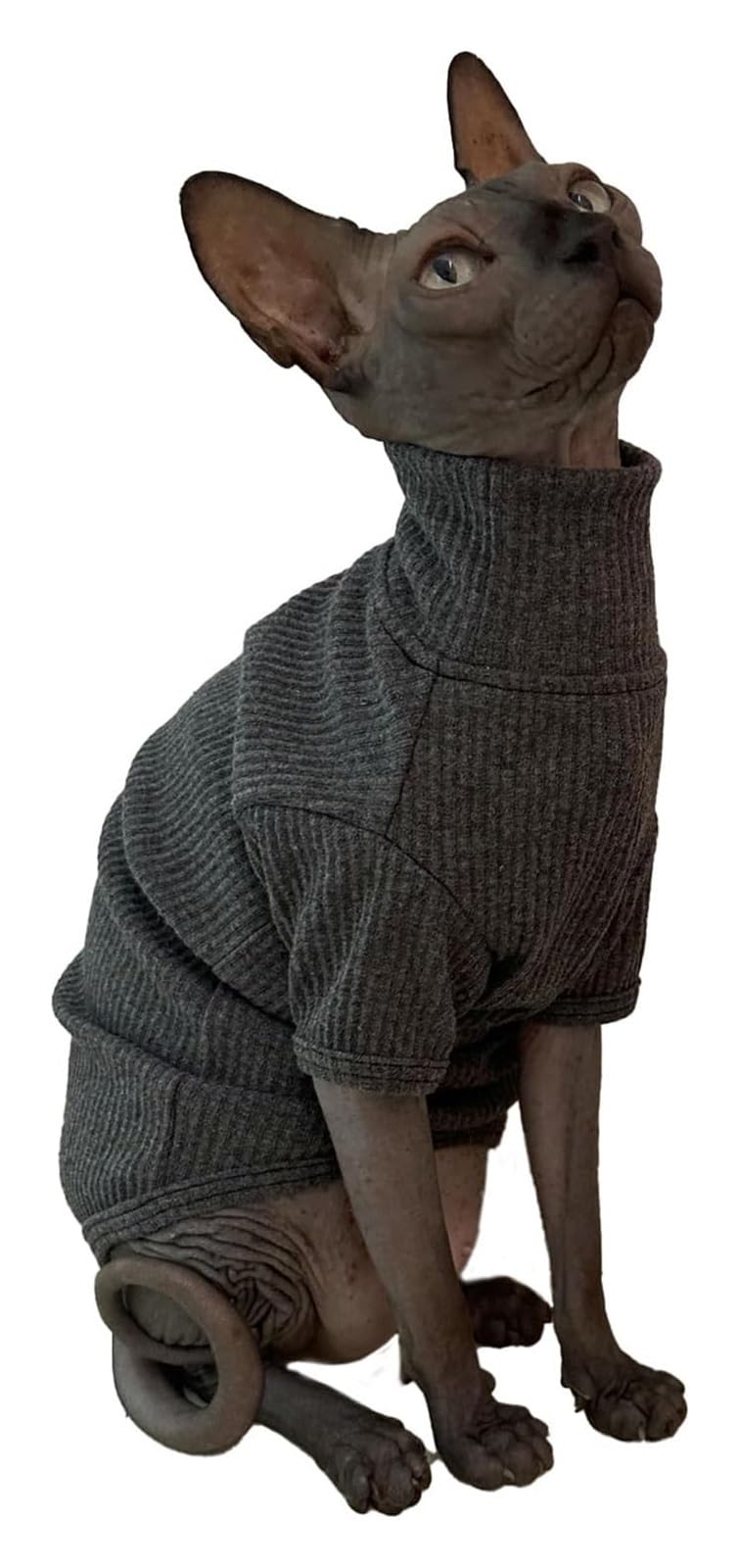 Fbhappiness Grey Cat Clothes Hairless Cat Clothes Cats Shirt Cat Turtleneck Cotton Sweater Pullover Kitten T-Shirts With Sleeves Cat Pajamas Jumpsuit For Cornish Rex, Devon Rex, Peterbald (