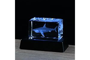 Qianwei 3D Crystals Enchanted Preserved Shark In Realistic Jar Real Aquarium
