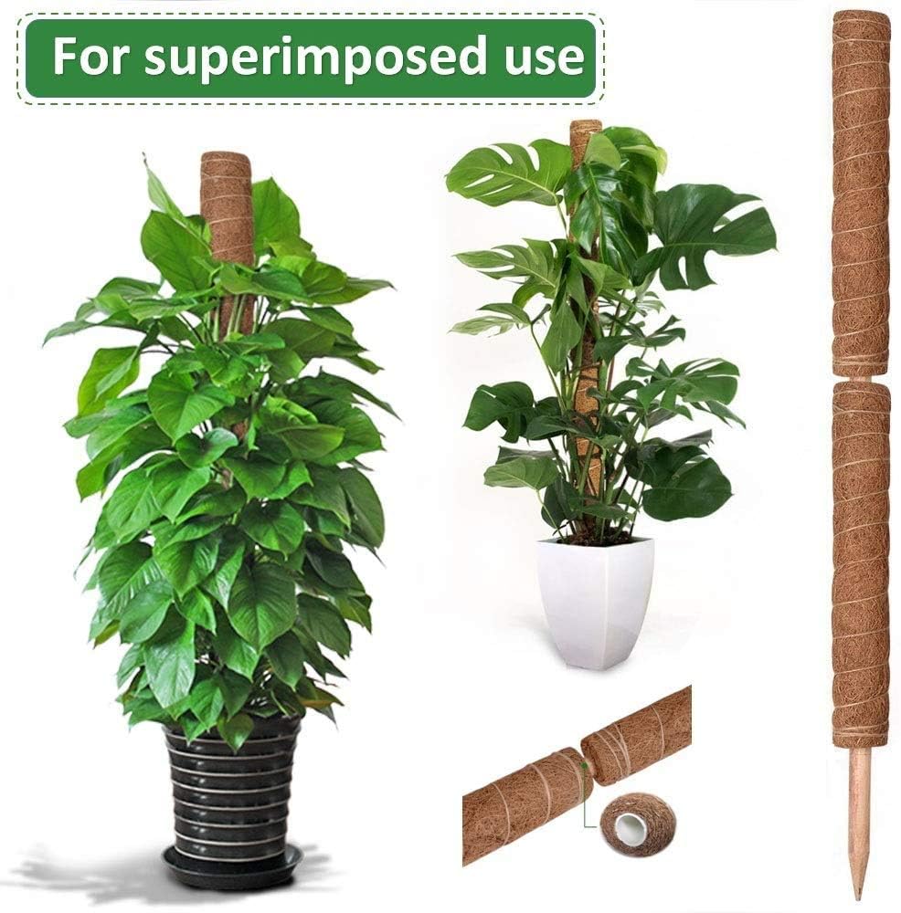 Lets Joy Rete di Supporto per Piante, 2 x 5 Rete di Supporto per Piante Rapicanti, Rete di