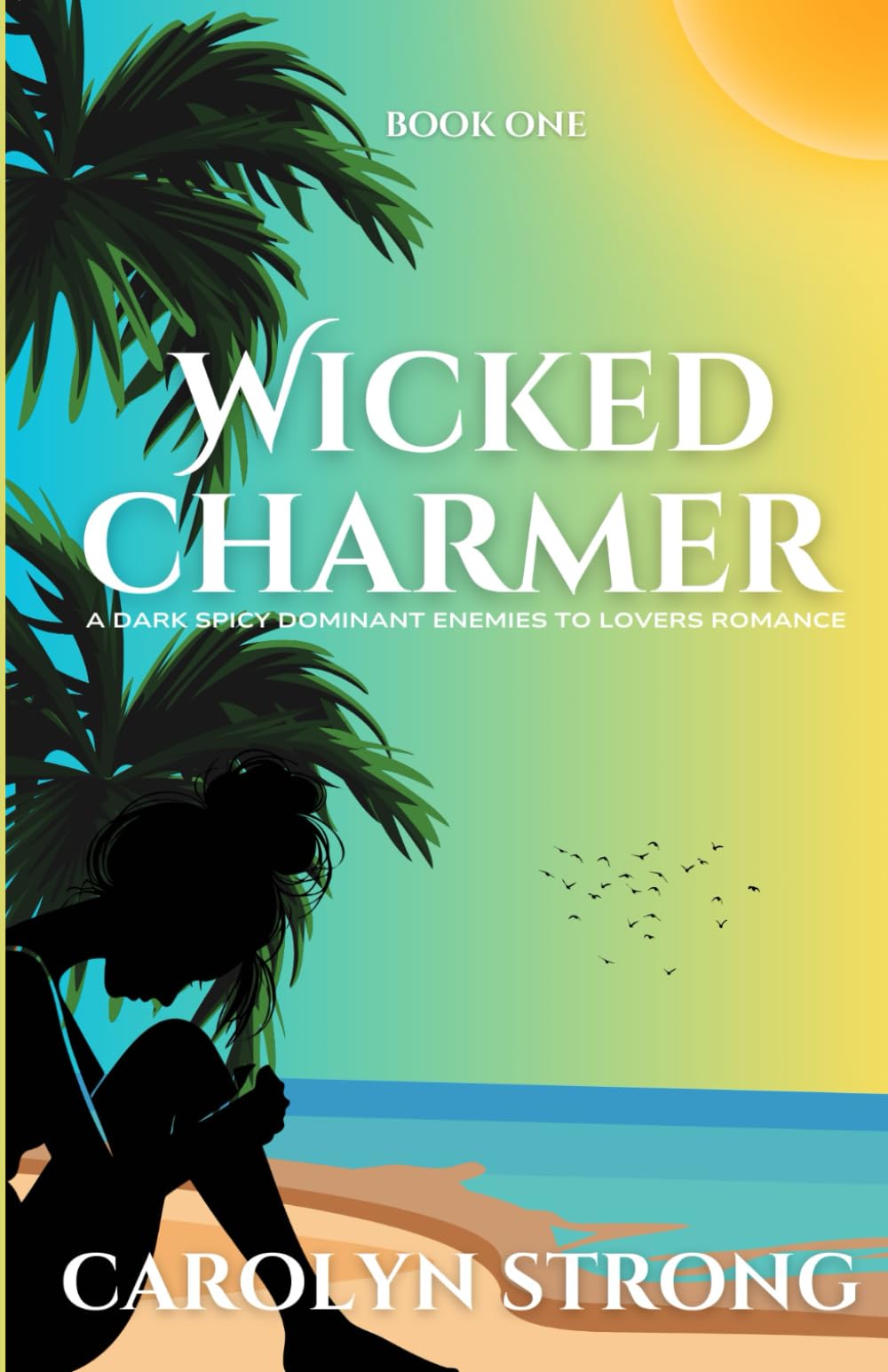 Wicked Charmer: An Enemies to Lover Second Chance Romance