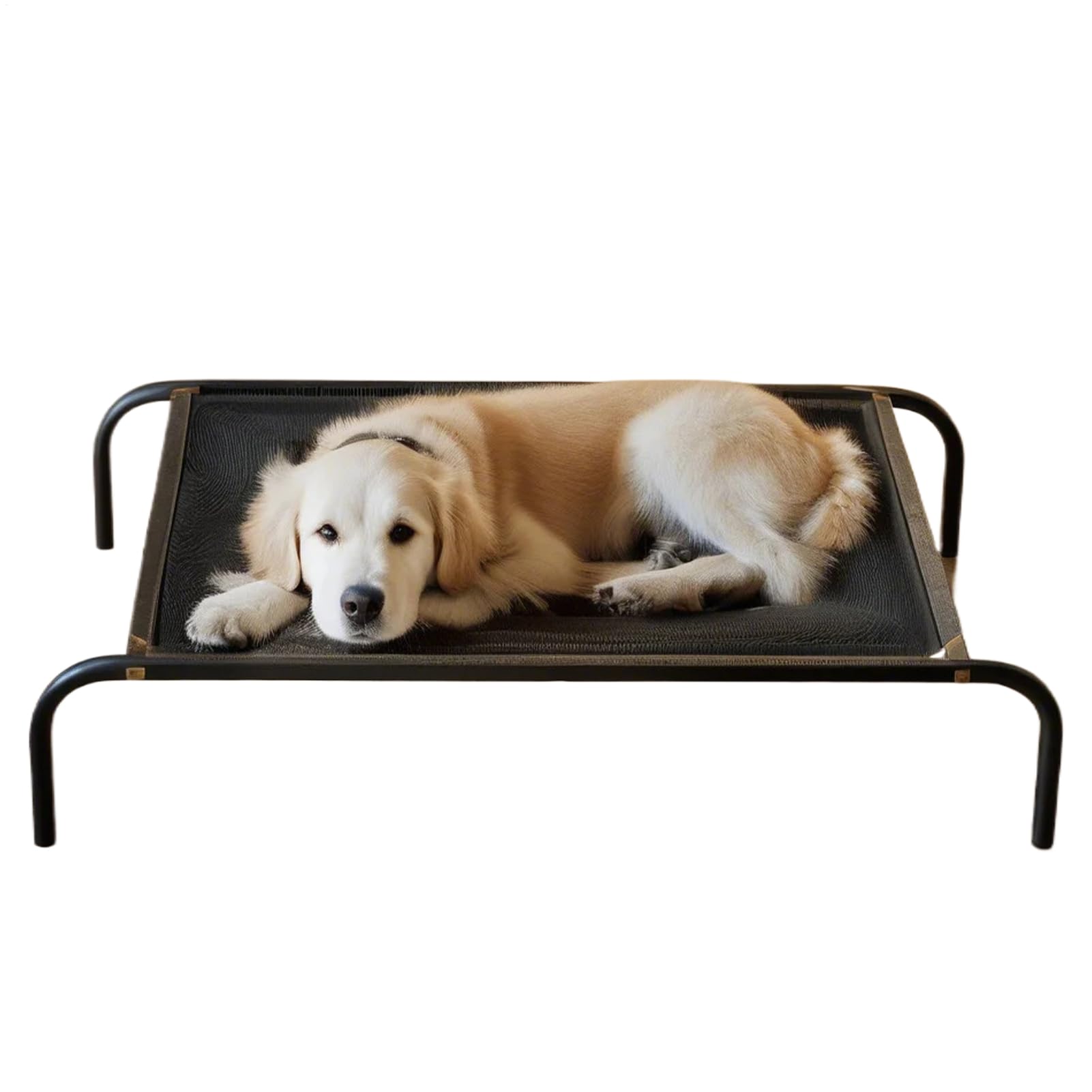 Lit surélevé pour chien en maillage respirant haute résistance