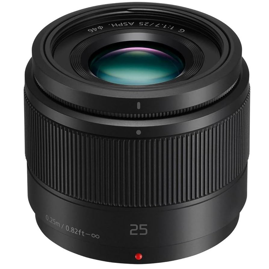 デジタルカメラ Panasonic LUMIX G 25mm F1.7 ASPH. Field review: Panasonic Lumix G 25mm F1.7 ASPH - compact