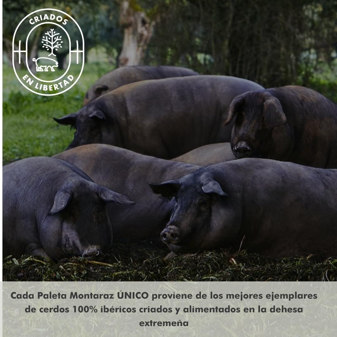 Paleta Ibérica de Bellota 100% Raza Ibérica Curación 24 Meses 4,5-5 kg Sin Aditivos