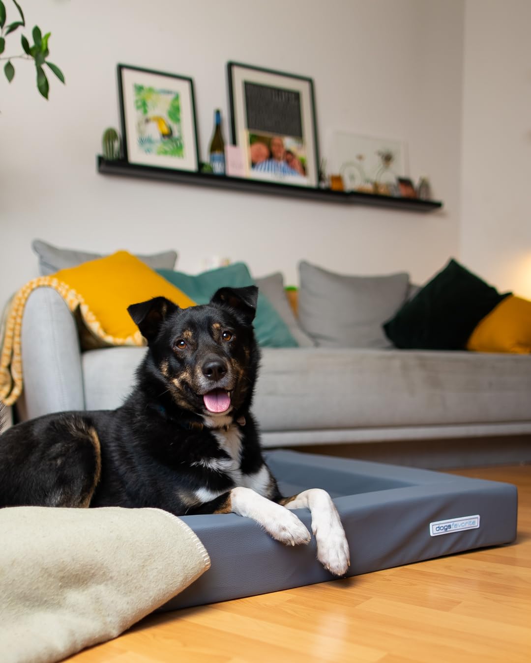 Hunde-Bett - waschbares Hundekörbchen - hochwertiges Hundesofa - gelenkschonendes Hundekissen - robuste Hundematte - Hundekorb - Gr. L 110 x 90cm - dunkelgrau