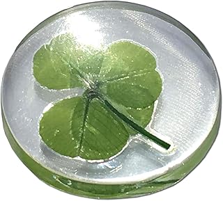 Vero trifoglio a quattro foglie, gettone tascabile di buona fortuna, conservato, 3,2 cm