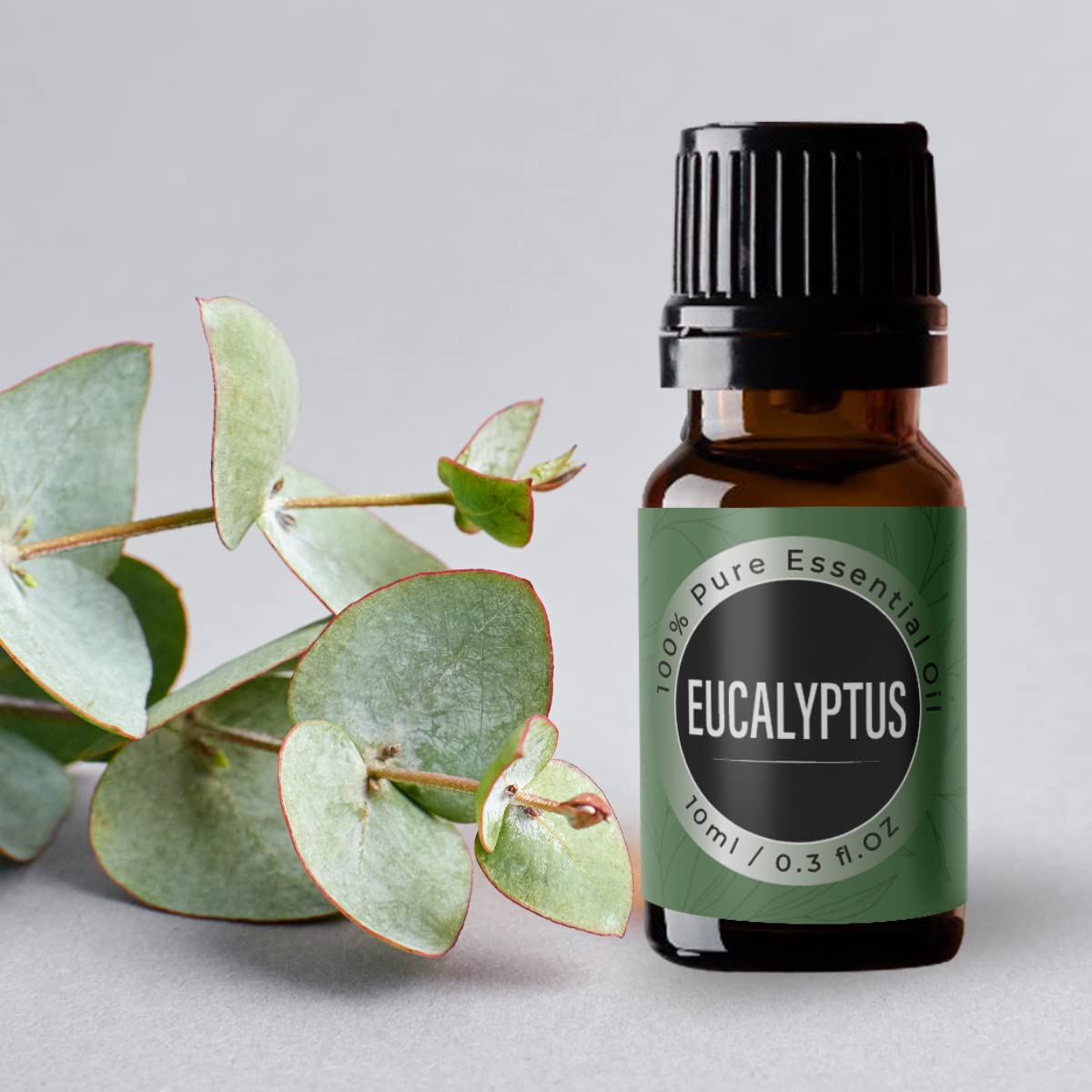 FOM (Friends of Meditation) Essential Oil - Eucalyptus Essential Oil for Diffusers, Aromatherapy and Wellness (10ml) FOM (Friends of Meditation) Essential Oil - Eucalyptus Essential Oil for Diffusers, Aromatherapy and Wellness (10ml)