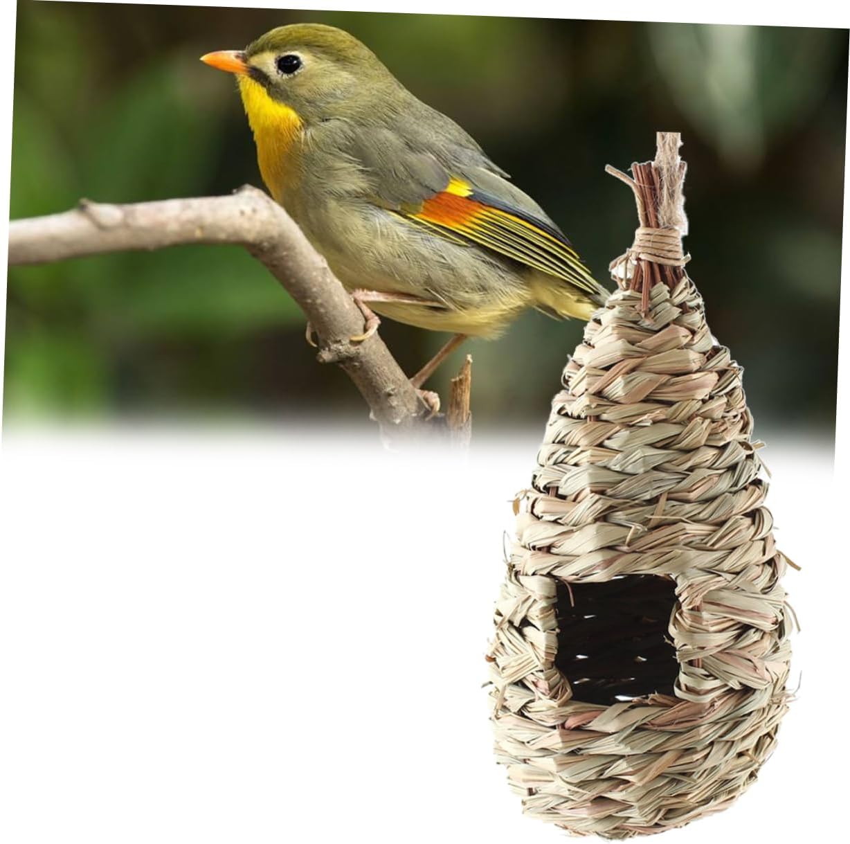 FRCOLOR 6pcs Handmade Grass Birdhouse Nest Natural Hanging Nest for Parakeets Finch Budgie
