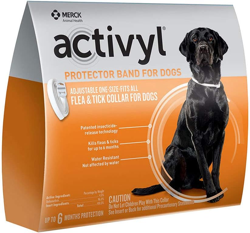 Protector Band for Dogs
