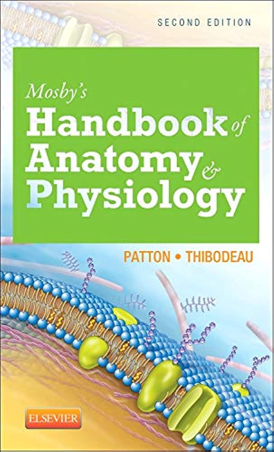 Mosby's Handbook of Anatomy & Physiology Patton Thibodeau Paperback 2e
