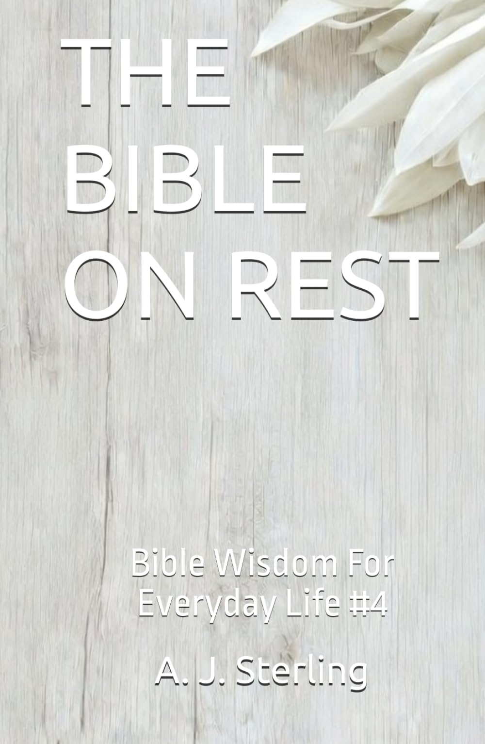 THE BIBLE ON REST: Bible Wisdom For Everyday Life #4