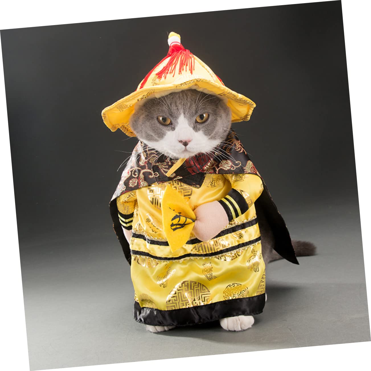 FOMIYES 3stücke Funny Standing Pet Costume Chinesischer Cosplay Anzug Für Kleine Hunde s Lustige Tierbekleidung Für Partys Und Besondere Anlässe Und Einfach Anzuziehen