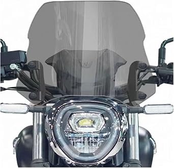 for Haojue TR300 Windshield Increase The Height of The Deflectorrain Chest-Protecting Sun Visor Guard Modification Accessories Wind Deflector Windshield