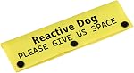 Poignée de laisse de chien Space-YE - Alerte chien réactive Tag cadeau d'anniversaire d'animal de compagnie