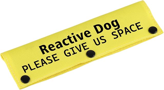 Poignée de laisse de chien Space-YE - Alerte chien réactive Tag cadeau d'anniversaire d'animal de compagnie